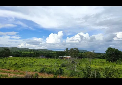 Fazenda/Sítio à venda no , Buritis