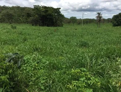 Fazenda/Sítio à venda, 3680000m² no , Cabeceira Grande