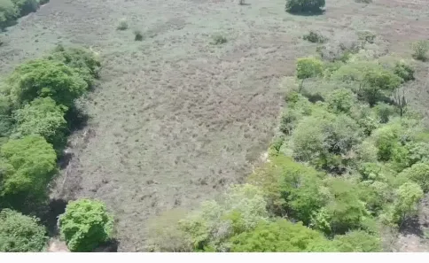 Fazenda/Sítio à venda no , Buritis