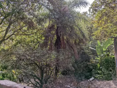 Fazenda/Sítio com 3 Quartos à venda, 120m² no Citrolândia, Betim