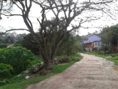Lote/Terreno à venda, 4800m² no Santo Onofre, Viamão