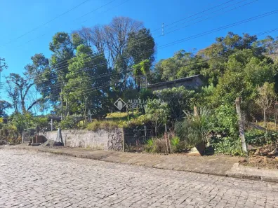 Lote/Terreno à venda, 3000m² no Cruzeiro, Caxias do Sul