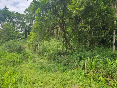 Lote/Terreno à venda, 2400m² no Antonina, Antonina