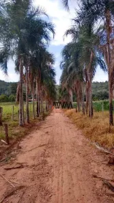 Fazenda/Sítio com 4 Quartos à venda, 1137400m² no , 