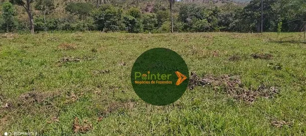 Fazenda/Sítio à venda, 19698800m² no , Niquelândia