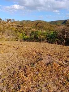 Fazenda/Sítio com 2 Quartos à venda, 80m² no , Padre Bernardo