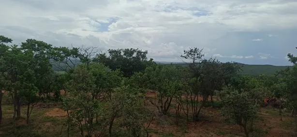 Lote/Terreno à venda, 20000m² no Cordisburgo, Cordisburgo