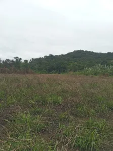 Fazenda/Sítio à venda, 677600m² no , Guaraqueçaba