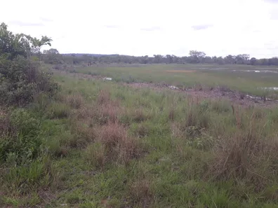 Lote/Terreno à venda, 20000m² no , Araçaí