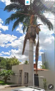 Casa de Condomínio com 3 Quartos à venda, 115m² no Vila Rosa, Goiânia
