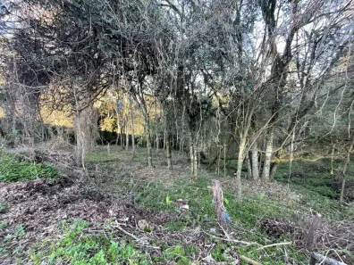 Lote/Terreno à venda, 389m² no Cruzeiro, Caxias do Sul