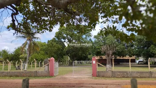 com 3 Quartos à venda, 988700m² no , José de Freitas