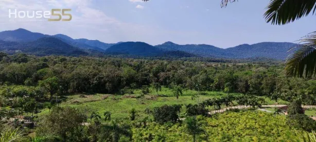 Lote/Terreno à venda, 331540m² no Guaraqueçaba, Guaraqueçaba