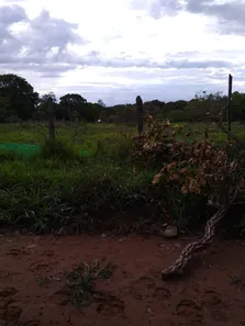 Fazenda/Sítio à venda, 49000m² no Área Rural de Valparaíso de Goiás, Valparaíso de Goiás