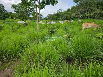 Fazenda/Sítio com 3 Quartos à venda, 232320m² no , Niquelândia