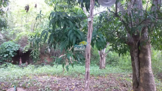 Fazenda/Sítio com 3 Quartos à venda, 120000m² no , José de Freitas