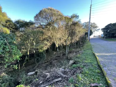 Lote/Terreno à venda, 389m² no Cruzeiro, Caxias do Sul