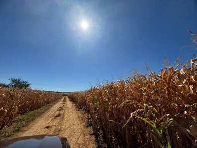 Fazenda/Sítio com 3 Quartos à venda, 532400m² no , Goianápolis