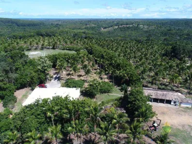 Fazenda/Sítio à venda, 685000m² no Sauípe, 