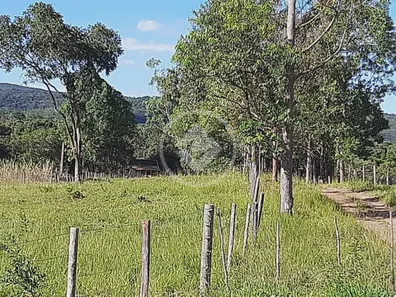 Fazenda/Sítio à venda, 200m² no , 
