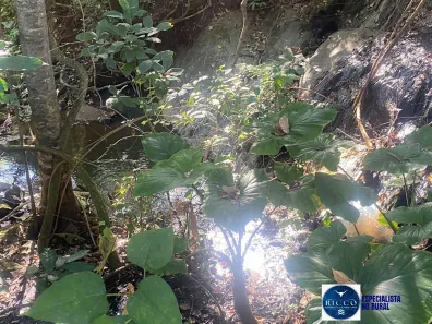 Lote/Terreno à venda, 12m² no Setor Central, Taquaral de Goiás