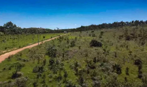 Lote/Terreno à venda, 20000m² no Zona Rural, Paraopeba