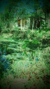 Fazenda/Sítio com 1 Quarto à venda, 6000m² no Pitangas, Tanguá