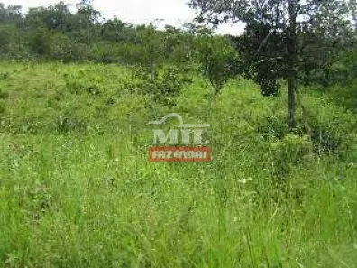 Fazenda/Sítio à venda, 185m² no , Jaraguá