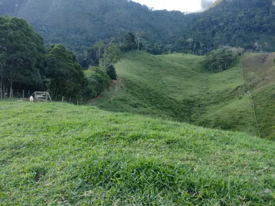 Fazenda/Sítio com 3 Quartos à venda, 300000m² no Área Rural de Macaé, Macaé