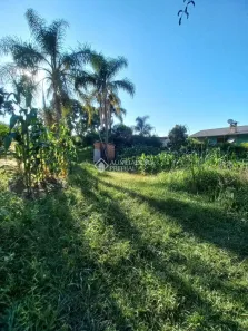 Lote/Terreno à venda, 999m² no Bela Vista, Caxias do Sul