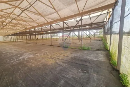 para alugar, 2000m² no , Artur Nogueira