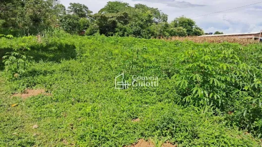 Fazenda/Sítio com 2 Quartos à venda, 50m² no , Leopoldo de Bulhões