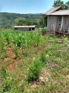Fazenda/Sítio com 2 Quartos à venda, 35000m² no , Caraá