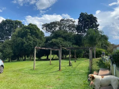 Fazenda/Sítio à venda, 800m² no , Nova Veneza