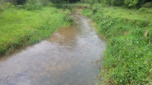 Fazenda/Sítio à venda, 5808000m² no , Padre Bernardo