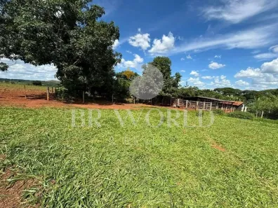 Fazenda/Sítio com 5 Quartos à venda, 60000m² no , Taquaral de Goiás