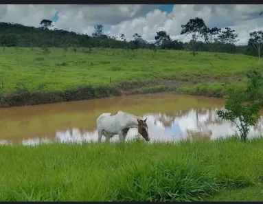 Fazenda/Sítio à venda, 600000m² no Área Rural do Paranoá, Brasília