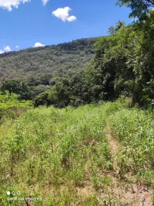 Casa com 4 Quartos à venda, 250000m² no , Buritis