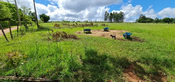Fazenda/Sítio com 1 Quarto à venda, 20000m² no Brazlândia, Brasília