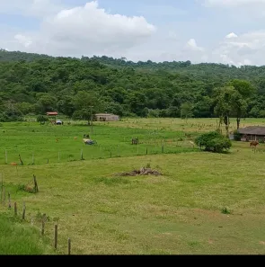 Fazenda/Sítio à venda, 28m² no Brazlândia, Brasília