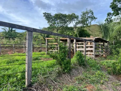 Fazenda/Sítio com 3 Quartos à venda, 3000000m² no , Padre Bernardo