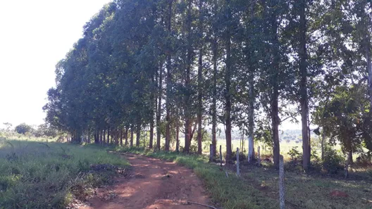 Fazenda/Sítio à venda, 20000m² no , Araçaí