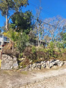 Lote/Terreno à venda, 3000m² no Cruzeiro, Caxias do Sul