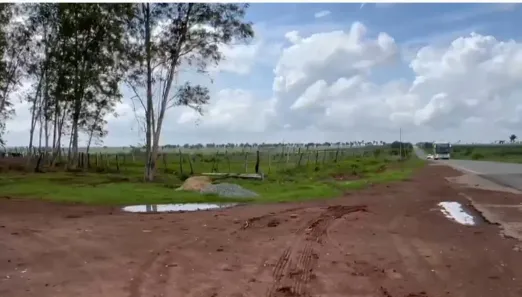 Fazenda/Sítio à venda, 6000m² no Zona Rural, Coroatá