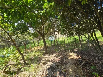 Lote/Terreno à venda, 406m² no Alto do Joá, Lagoa Santa