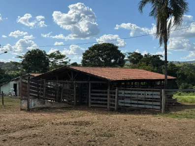 Fazenda/Sítio com 2 Quartos à venda, 2000m² no , Guapó