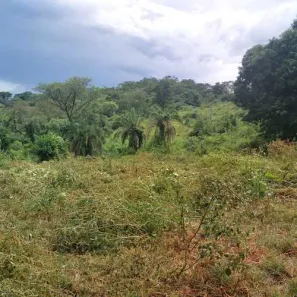 Fazenda/Sítio com 2 Quartos à venda, 100m² no , Itaberaí