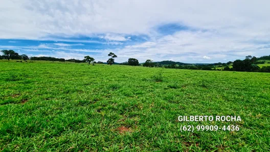 Fazenda/Sítio à venda, 968000m² no Área Rural, Goianira