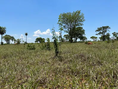 Lote/Terreno à venda, 1000m² no , Inhaúma