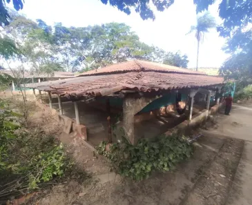 Fazenda/Sítio com 4 Quartos à venda, 20000m² no Bonsucesso, Brasília